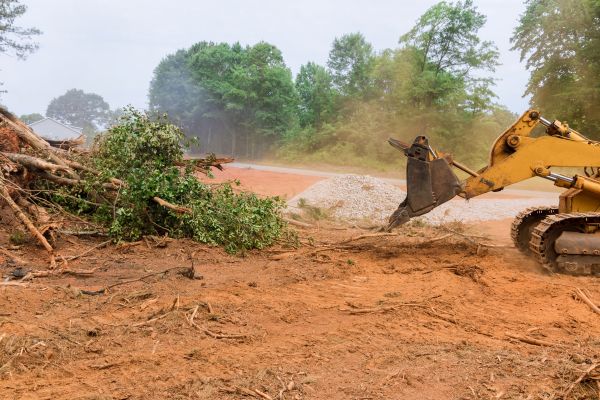 Cost of Ground Clearing in West Chester