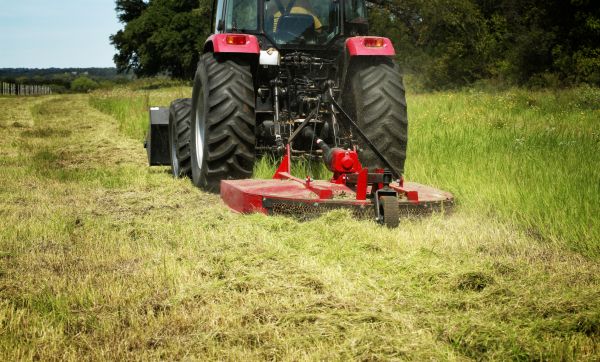 Cost of Brush Clearing Service in West Chester