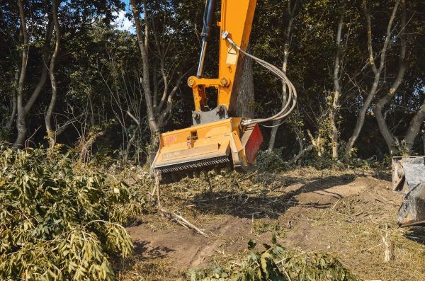Cost of Brush Removal Service in West Chester