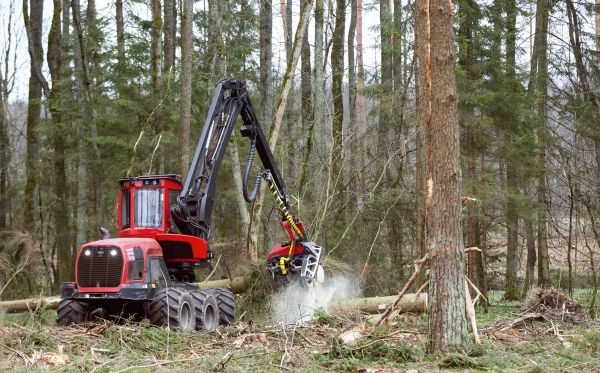 Cost of Forest Clearance Service in West Chester