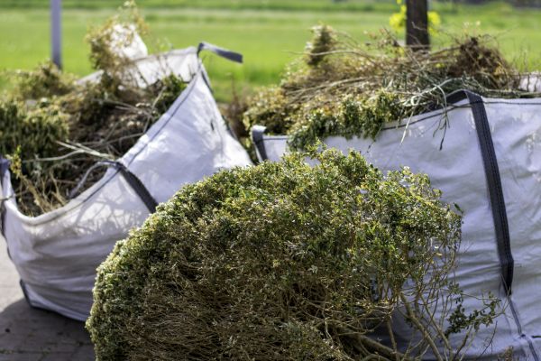 Cost of Bushes Clearing in West Chester