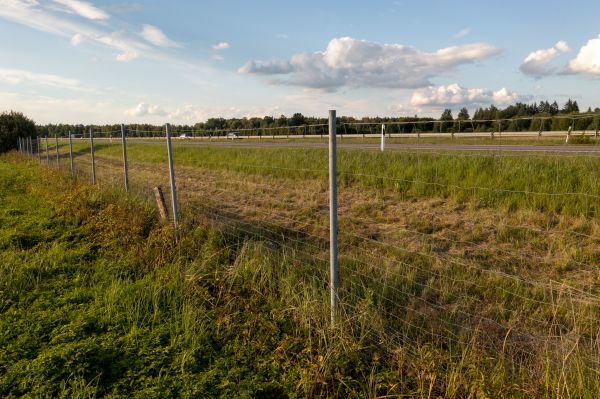Cost of Property Line Clearing in West Chester