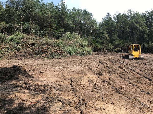 Cost of Thicket Clearing in West Chester