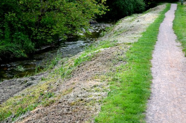 Cost of Trail Cutting in West Chester